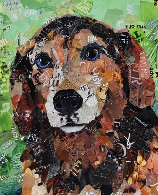 Dog, Cat, and Horse Commissions