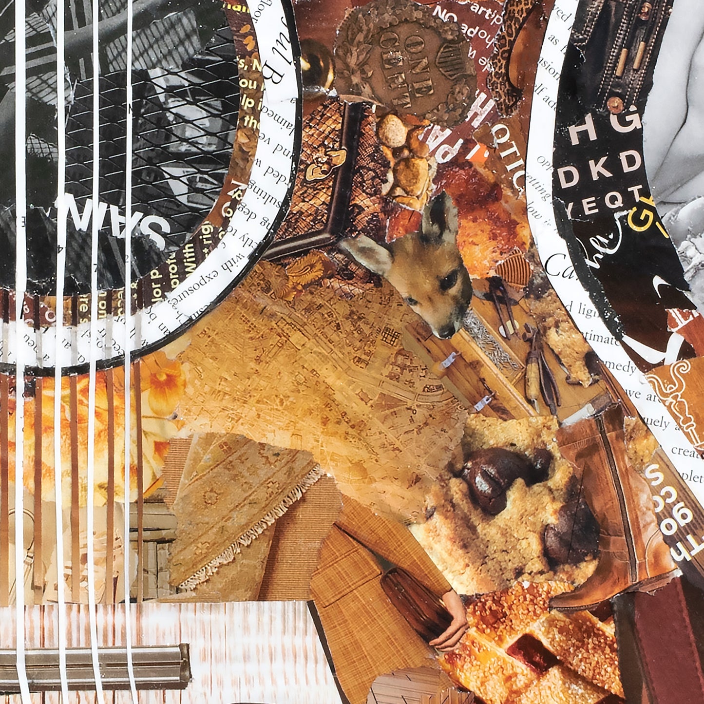 Acoustic Guitar Collage