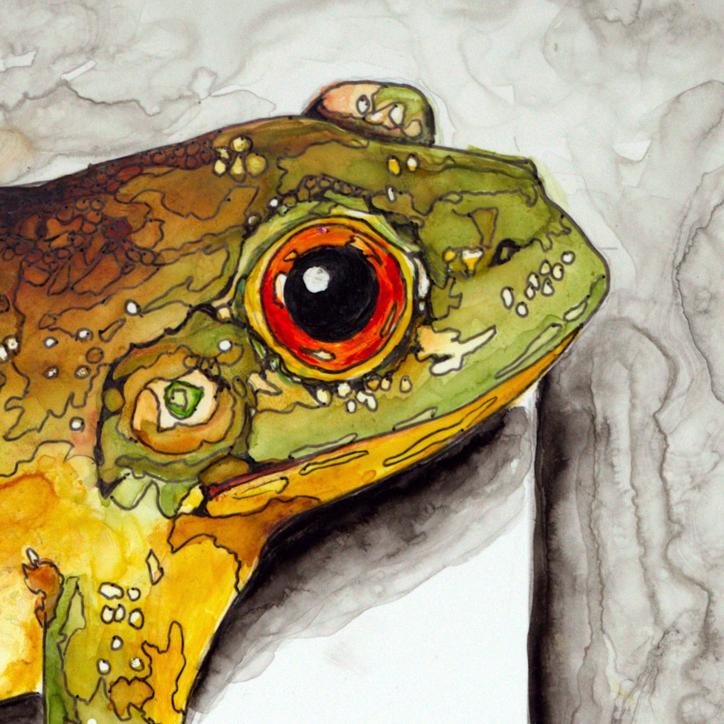 Frog