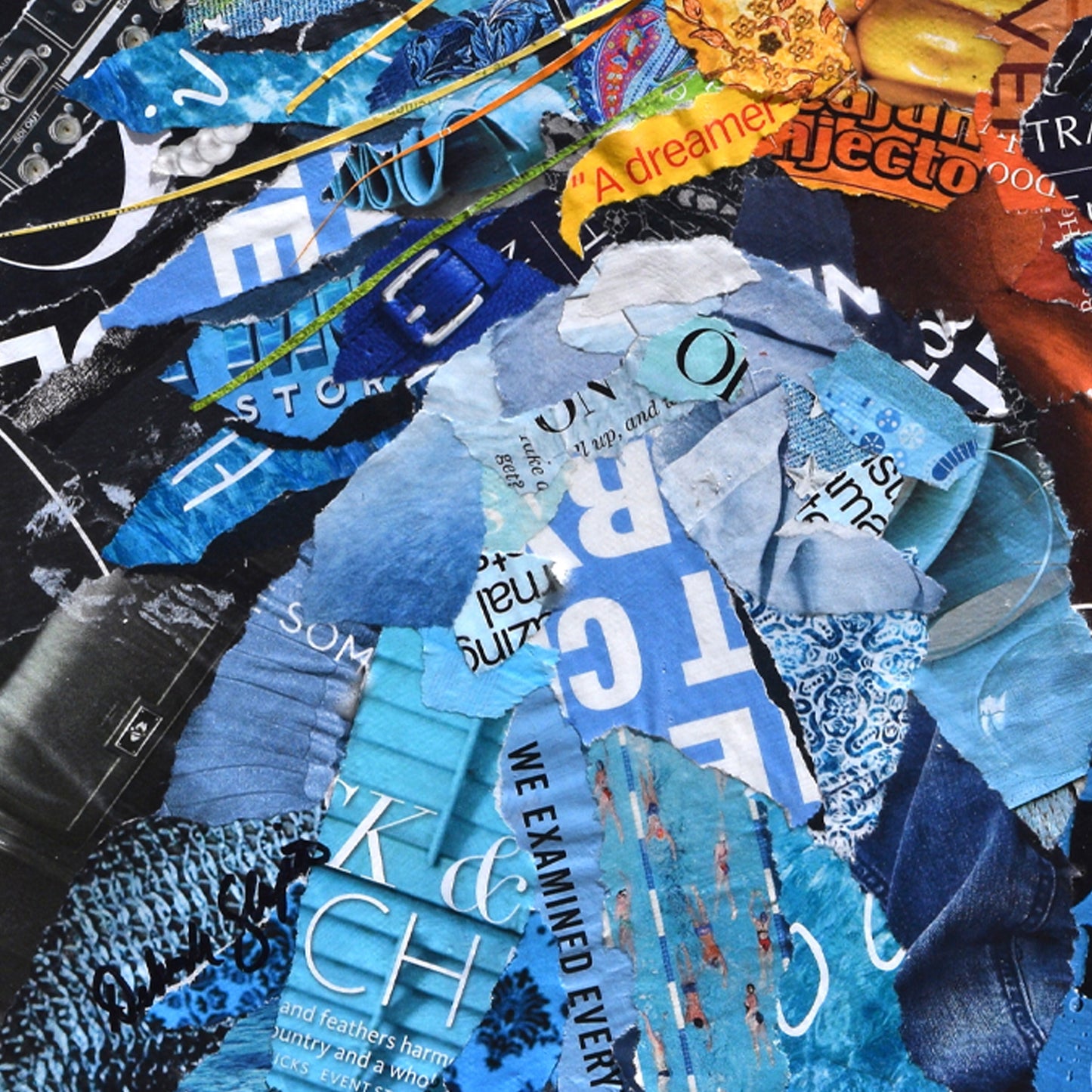 Parrot Head Collage Art