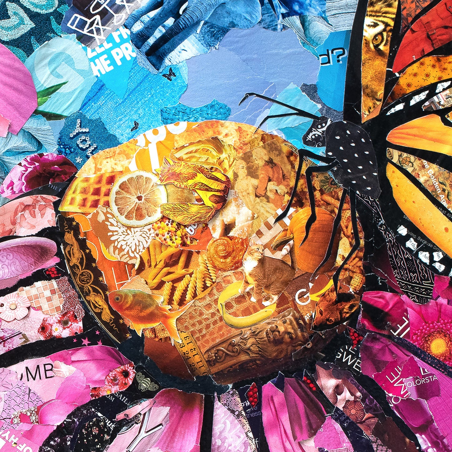 "Summer in Ohio" - Coneflowers and a butterfly