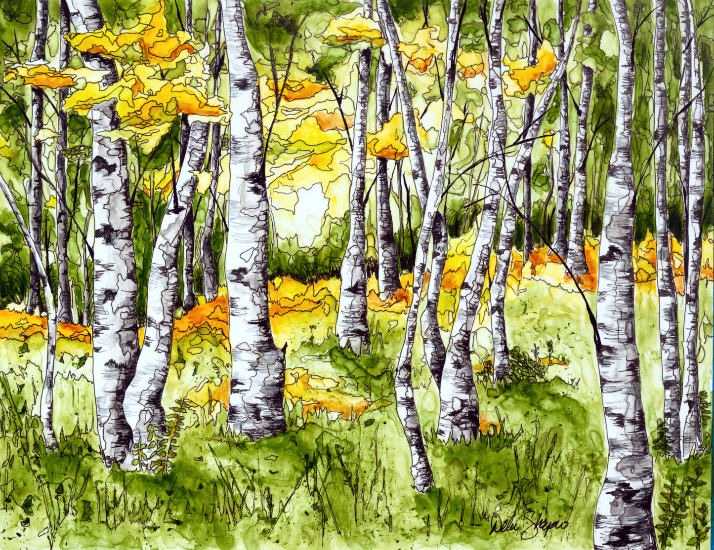 Birch Tree Forest
