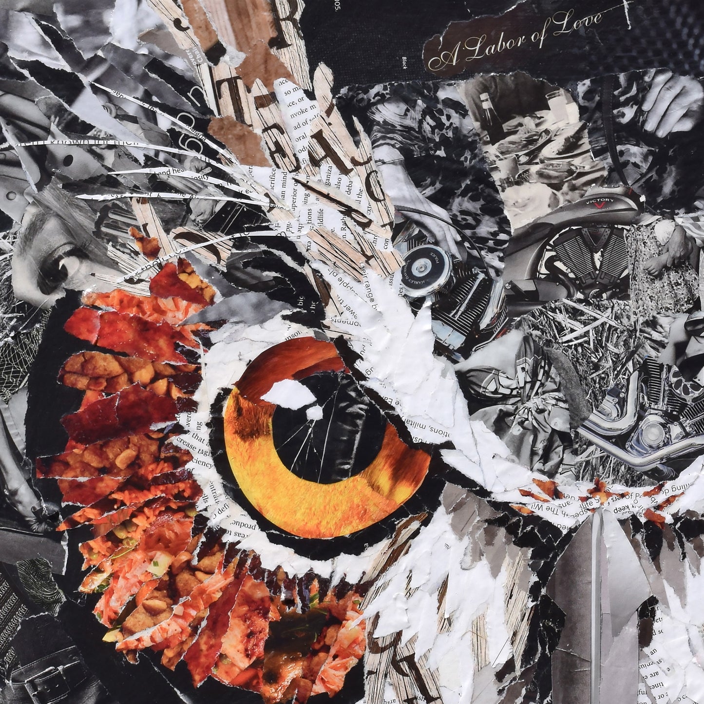 Whoo's There Owl Collage