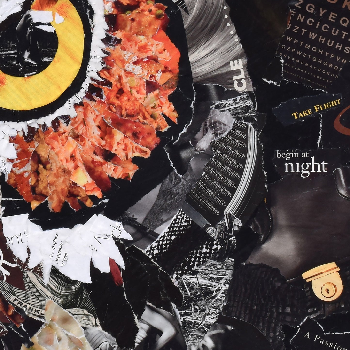 Whoo's There Owl Collage