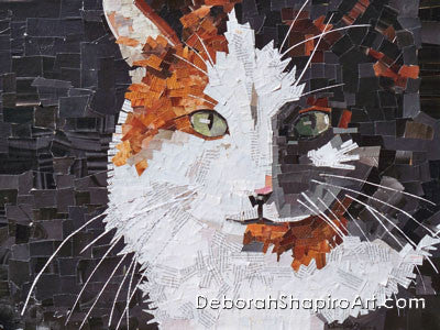 Wilma, Our Beloved Cat
