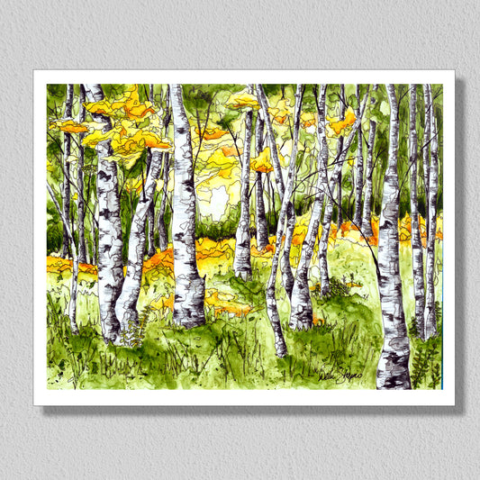 Birch Tree Forest