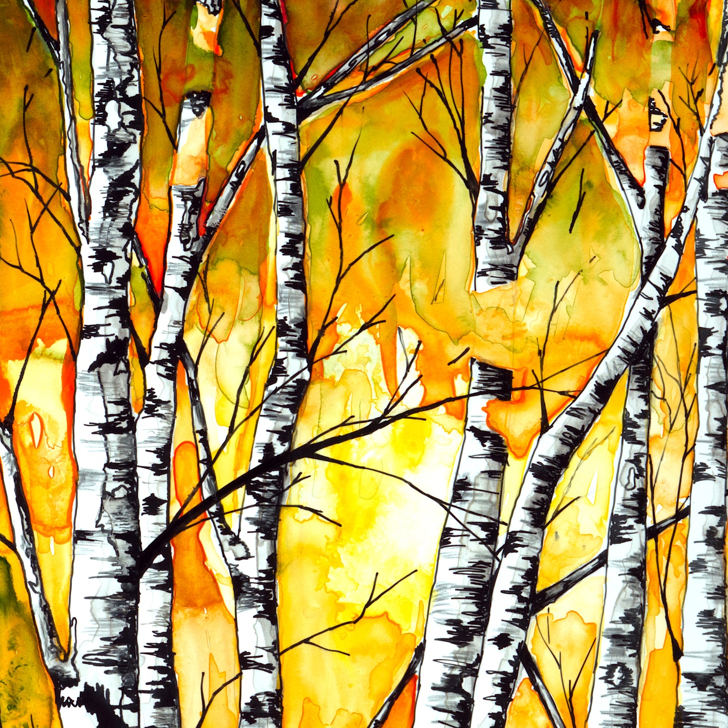 Birch Trees on Yellow