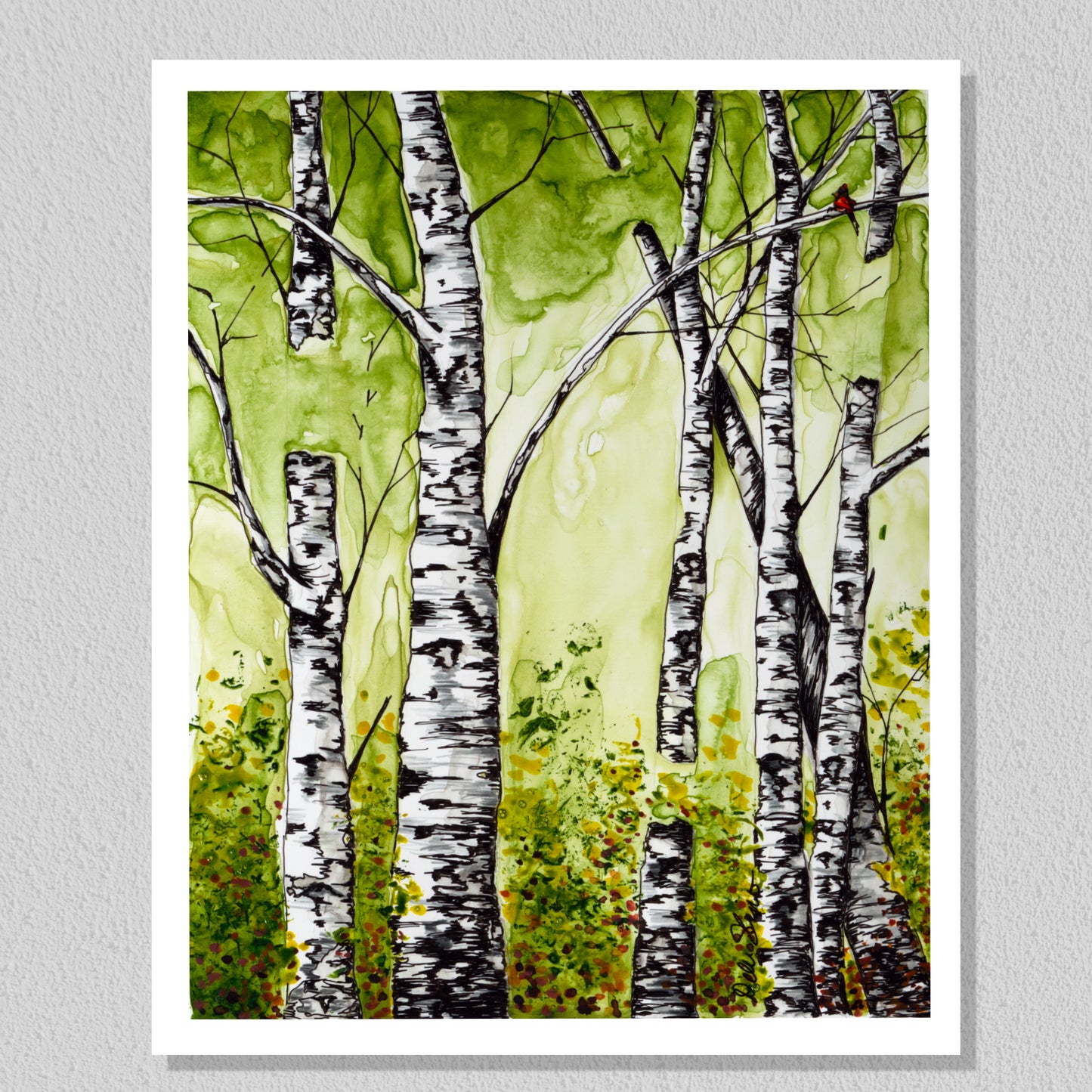 Birch trees with cardinal