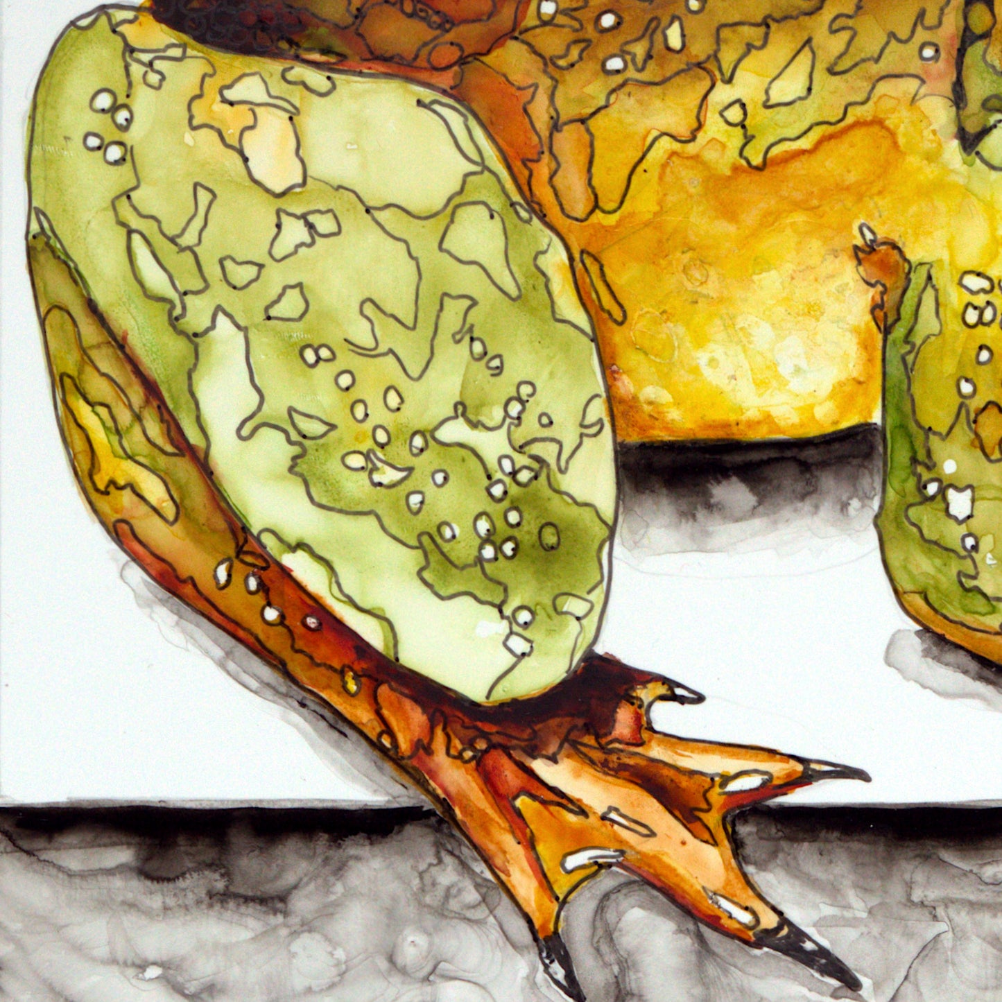 Frog