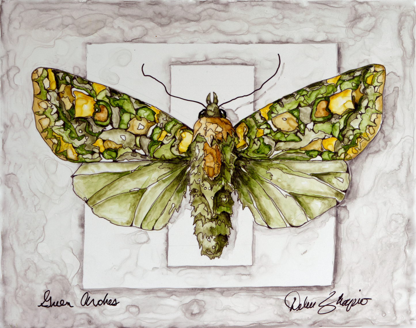 ACEO Moth Green Arches Giclee Print Collectible Miniature Art Card