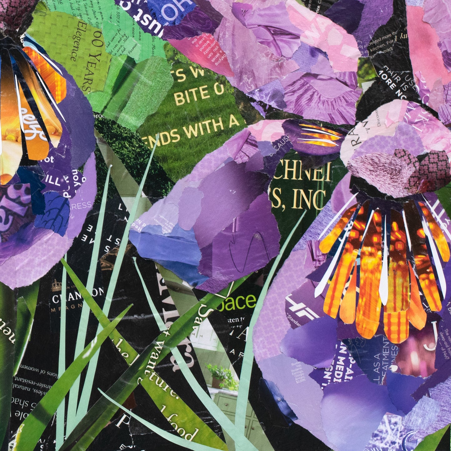 Irises in Bloom Collage