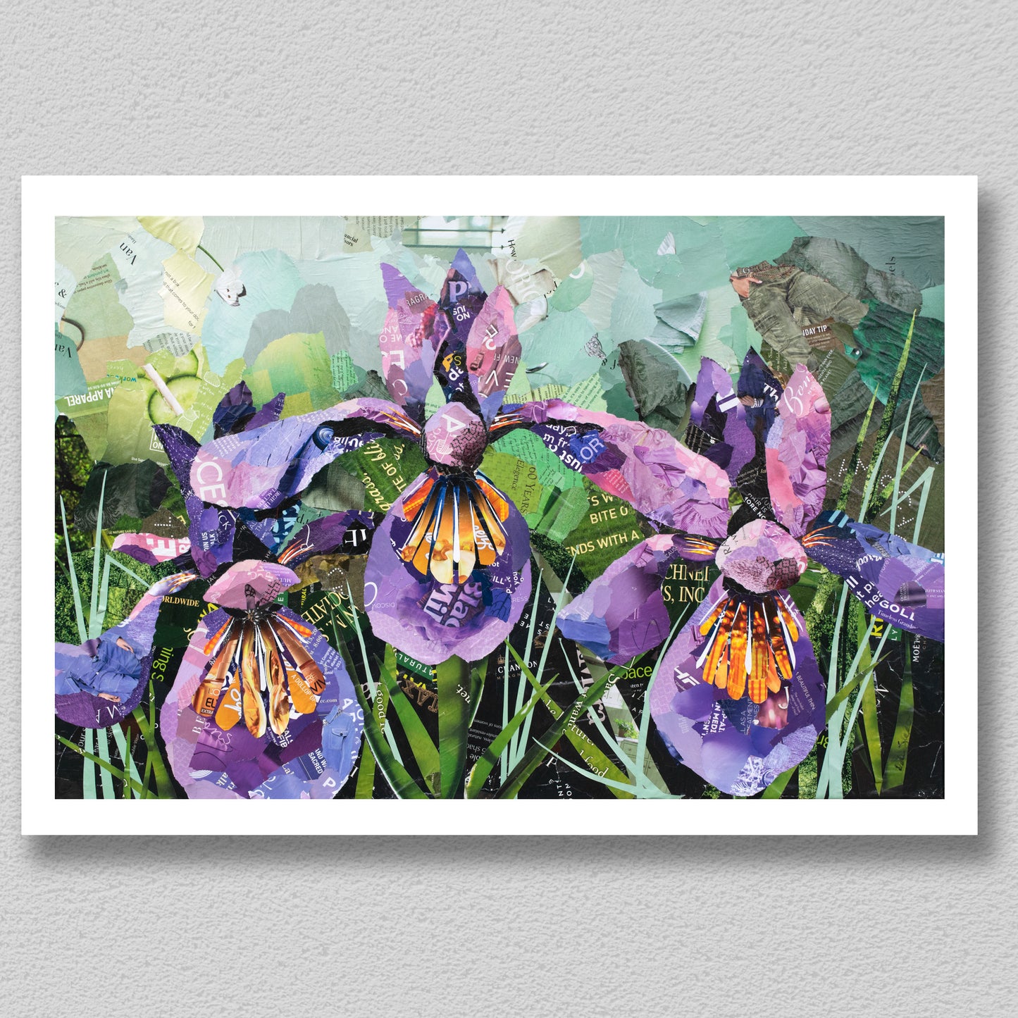 Irises in Bloom Collage