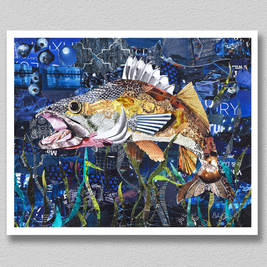 Walleye