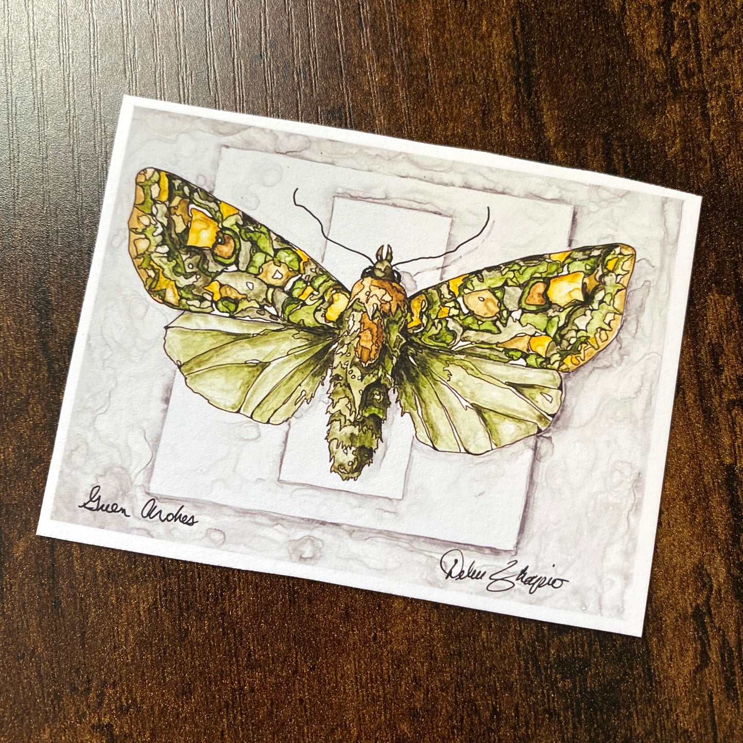 ACEO Moth Green Arches Giclee Print Collectible Miniature Art Card