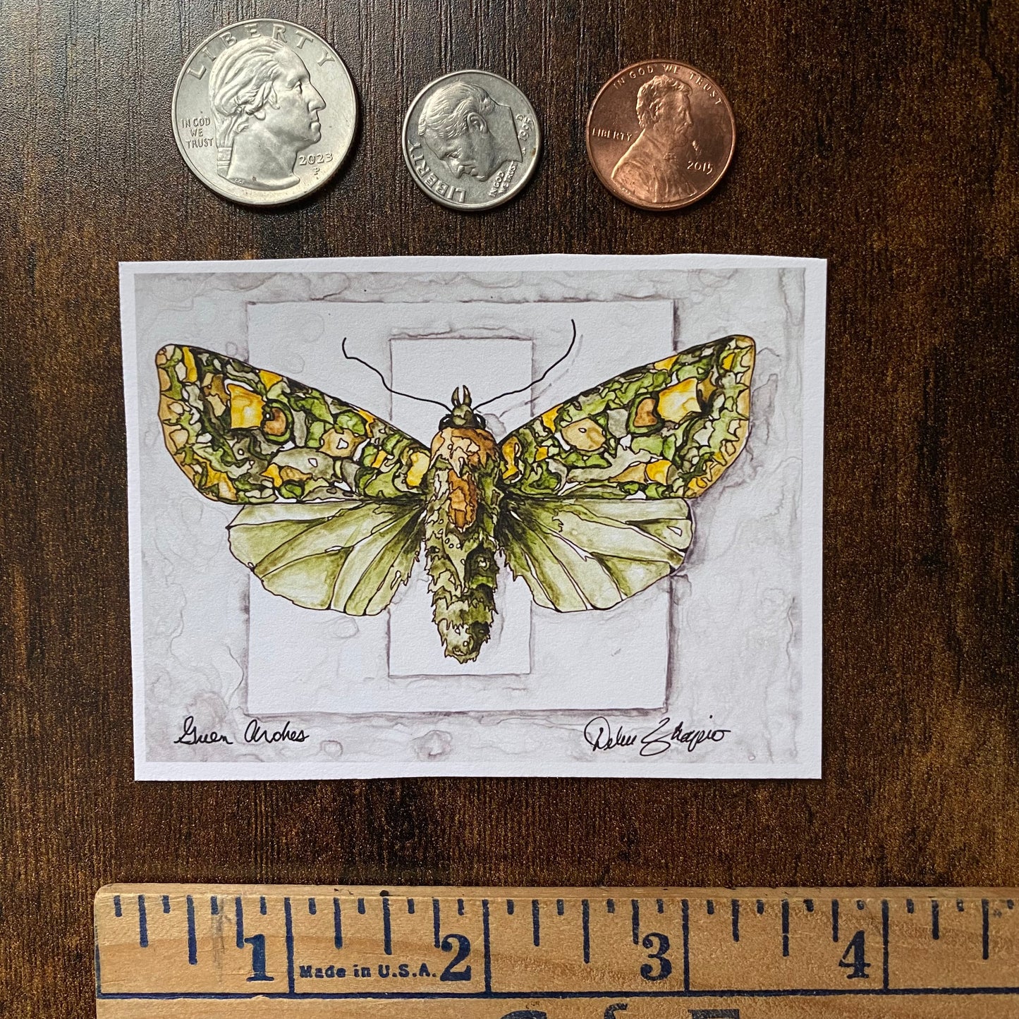 ACEO Moth Green Arches Giclee Print Collectible Miniature Art Card