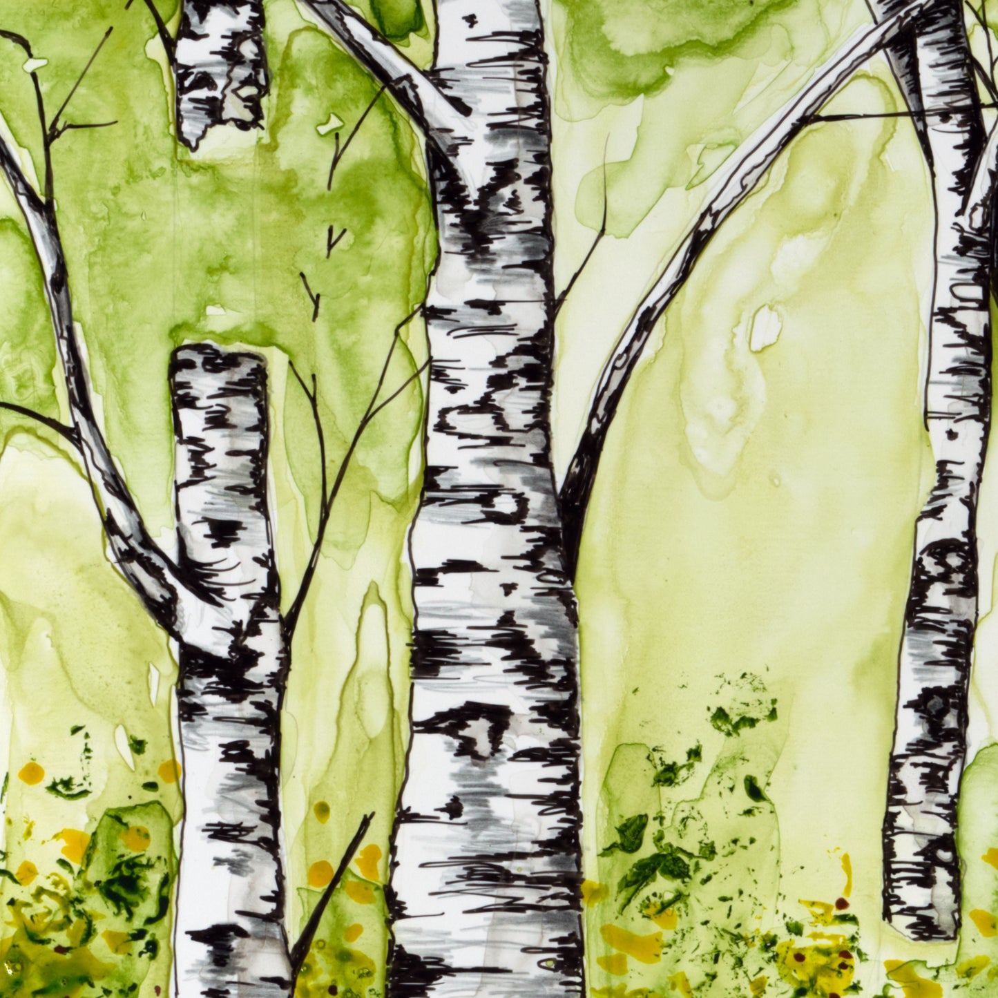 Birch trees with cardinal
